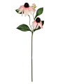 Pink Black-Eyed-Susan Rudbeckia Silk Flowers 