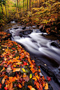 Oregon Brook Autumn, Vermont.  Photo: Joseph Rossbach via Flickr#摄影师##美景##素材##壁纸#