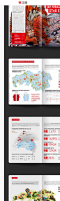 BrabantKennis报告 - 中国...@发吽哣的兜兜采集到单张折页(555图)_花瓣平面设计