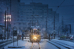 honghui采集到北风其凉，雨雪其雱