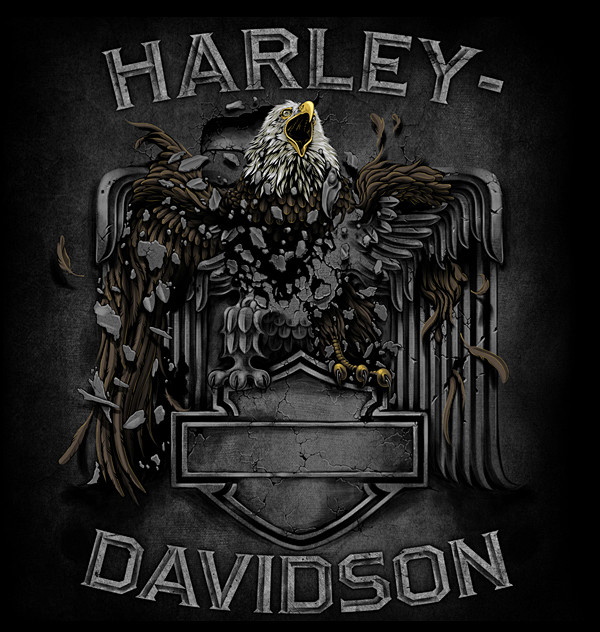 关于Harley Davidson哈雷的...