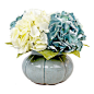Creative Displays and Designs Inc. - Blue and White Hydrangeas - Beautiful blue and white hydrangeas that sit on top of lemon leaves. These florals are inside a blue pot as a great compliment to the blue hydrangeas. This floral is 13 inches all the way ar