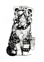 Cat Rider : Ilustração em nanquim