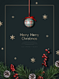 红色浆果 松枝松塔 悬挂彩球 圣诞节海报设计PSD ti375a10309
