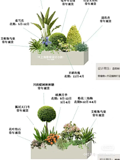 尘世浮烟采集到花箱