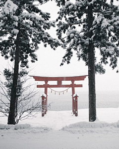 水淡木燃采集到风景