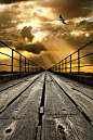 Plank Bridge, Blyth, England
photo via jenifer #美景#