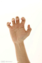 (高清）手姿势素材全集-JPG格式。摄影图_(高清）手姿势-素材全集_图片素材_其他_摄影图库_昵图网nipic.com_动作手势 _T2018919 #率叶插件，让花瓣网更好用#