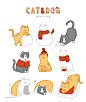 卡通可爱猫猫狗狗宠物元素插画