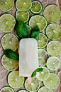 Lime Basil Gin Ice Pops