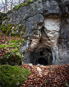 zouhong1430采集到地貌