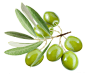 Marinated Olives - 1Kgr - Vega Fahala : Marinated Olives with Fresh Herbs – 1Kgr Related