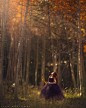 【美图分享】Lisa Holloway的作品《Enchanted Autumn》 #500px# @500px社区