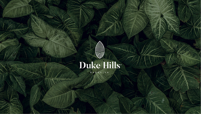 Duke Hills : Duke Hi...