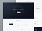 Landing Page Wireframe for New Cryptocurrency Website: WIP