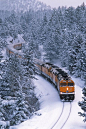 雪火车，冬季公园，科罗拉多