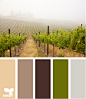 vineyard tones