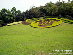 Lijing1009采集到多图:初夏白云山, 难觅