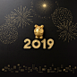 超酷2019黑金新年猪猪侠和兔子高清素材