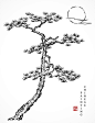 中国风白描松树线条线稿插画矢量图素材