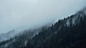 Fog Around Mountain With Trees