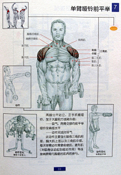 4587zxk采集到健身