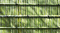 日本鲜绿竹墙