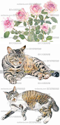 196张日本著名彩铅猫咪的插画图片 素描手绘水彩风景动物猫星球-淘宝网