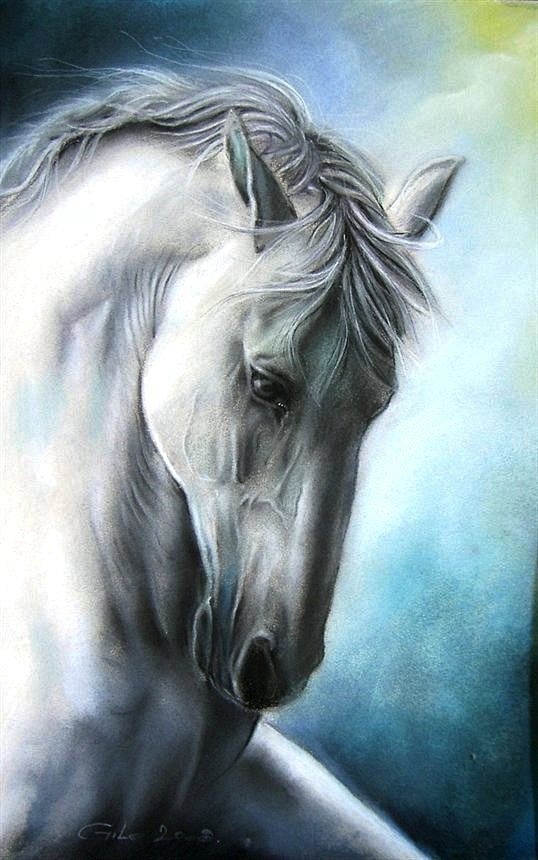 Horse art