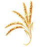 小麦 稻谷 