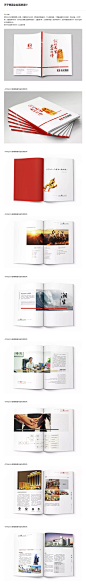 天子集团企业画册设计-意识形态画册宣传品设计