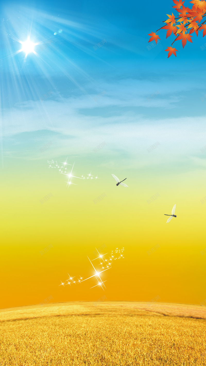 24dca407374f12fc1090ad8a76bbd216041c3bae697a8-9fvcYJ