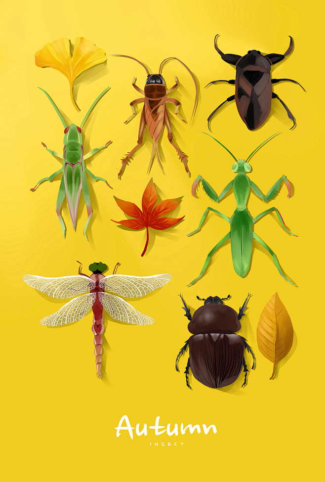 螳螂蛐蛐 蝗虫蜻蜓 彩色彩绘 昆虫 手绘...