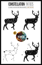 constellation tattoo designs by yours truly #tattoos #reindeer #antlers