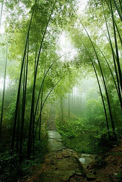 heilgyo采集到背景