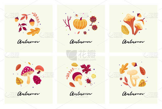 秋天有树叶、蘑菇、小枝、甲虫和种子组成的...