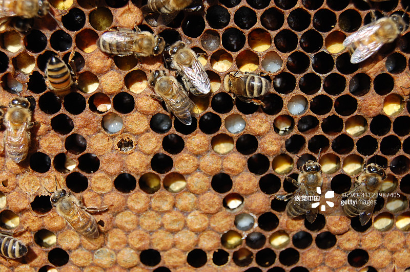 24ffd161c6c74f765408301ab21685dcfe51e6403e934-k9a4Un