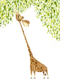 Giraffe Print, Fine Art Giclee Print, Illustration, Children's Art, Nursery Print, 5" x 7"