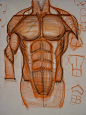 Charles Hu Figure Drawing Lecture*updated 4/21/2011* via ... | Anatom…