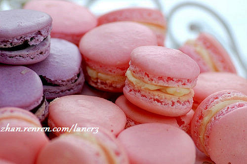 macaroon