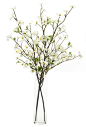 Dogwood Branch, Cream White, Glass Cylinder, 22wx22dx42h WF184