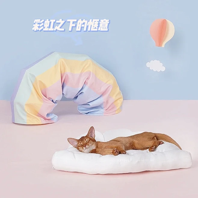 澳洲养猫|躲猫猫必备的彩虹隧道床