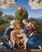《卡尼吉亚尼的圣家族》（Canigiani Holy Family）又名《卡尼吉亚尼圣母》（Canigiani Madonna），是文艺复兴时期意大利画家拉斐尔·桑西的早期作品。根据乔尔乔·瓦萨里的记载，因为最初订购者是佛罗伦萨商人卡尼吉亚尼，所以被称为《卡尼吉亚尼圣家族》。

拉斐尔的“圣家族”题材作品必然出现的3位成员（耶稣、圣母玛丽亚、耶稣的养父约瑟夫）之外，而《卡尼吉亚尼的圣家族》又增添了施洗者约翰和他的母亲以利沙伯。这5人构成一个严谨的等腰三角形布局：