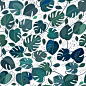 monstera, pattern : monstera pattern