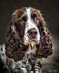 Izzy Portrait by Geoff Carpenter on 500px