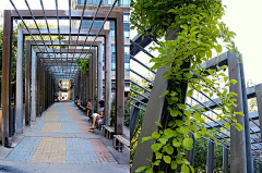 理加彗采集到2014.08一个泰式花园的想法