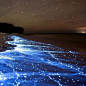 马尔代夫的Vaadhoo岛边海滩有一片被称为“蓝眼泪”的蓝沙，蓝眼泪是一种海洋微生物，靠着海水的某种能量生存，随着海浪的翻涌被冲到岸上或空中，化作星河般扑面而来的点点荧光...不过离开海水的“蓝眼泪”只能存活一分多钟，随着能量散尽直至消失.....