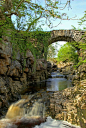 Packhorse Bridge, Ribblehead, Yorkshire Dales, England: 