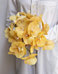 Photo by 東京植物図譜 on August 06, 2023. May be an image of flower arrangement and Vanda orchid.