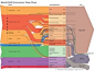 世界温室气体（温室气体）排放流程图